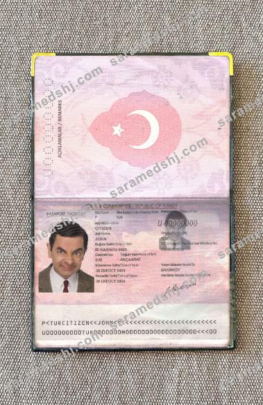 Turkey passport OLD photo look